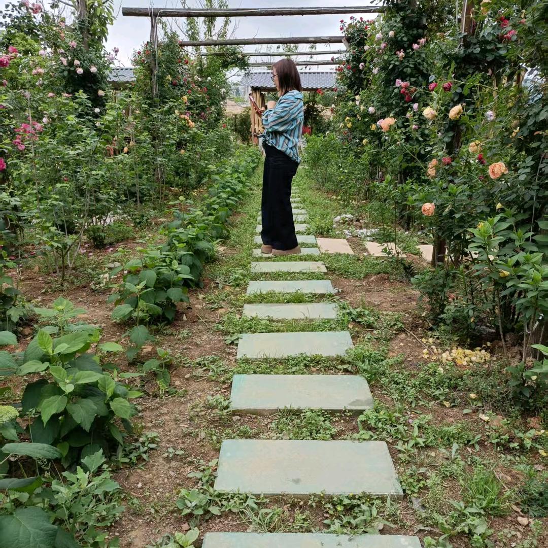 榴莲大陈妹子在江西