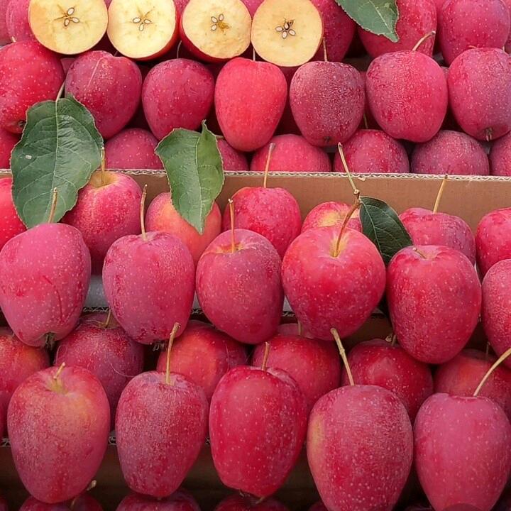 诚信经商得天下 冯再华