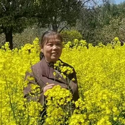 平安幸福（1）