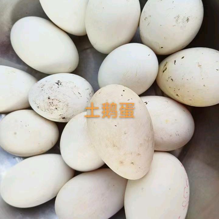 舒祖富