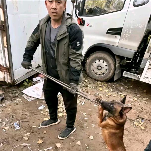 刀哥专业套狗三十年
