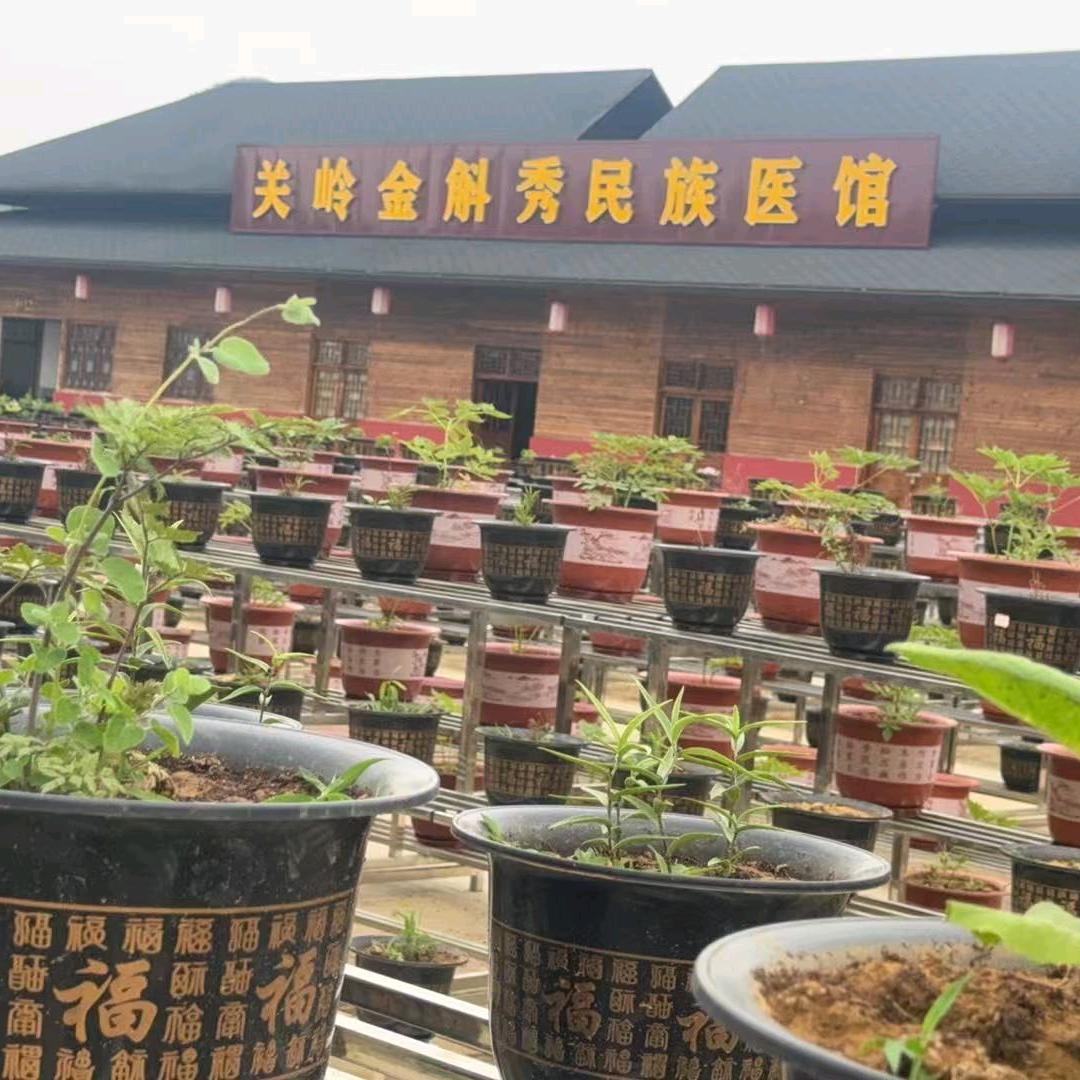 人间烟火