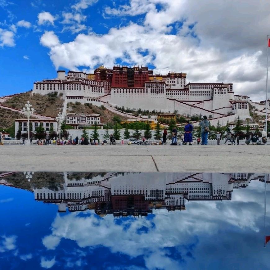 VIP文盲驾考报名《马校长》全国各地接