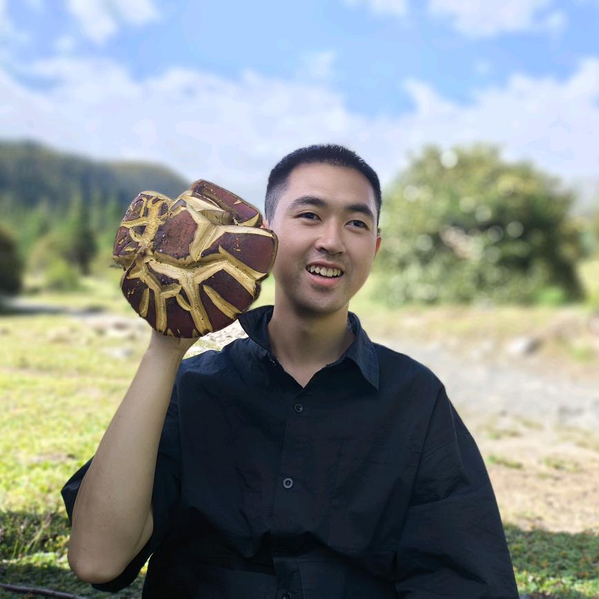 想暴富躺平的咸鱼