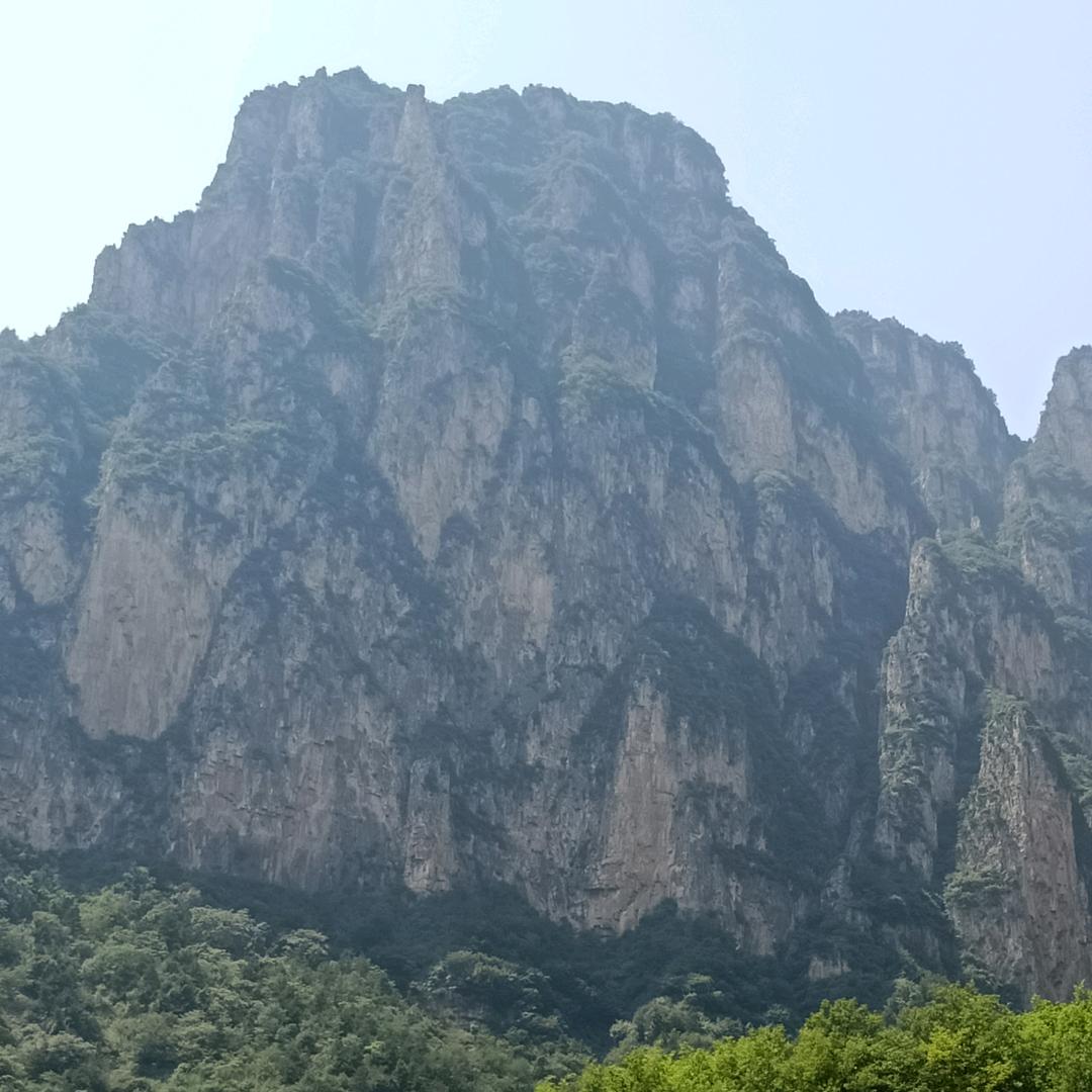 @小强