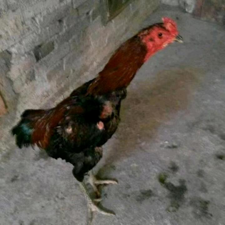 2027