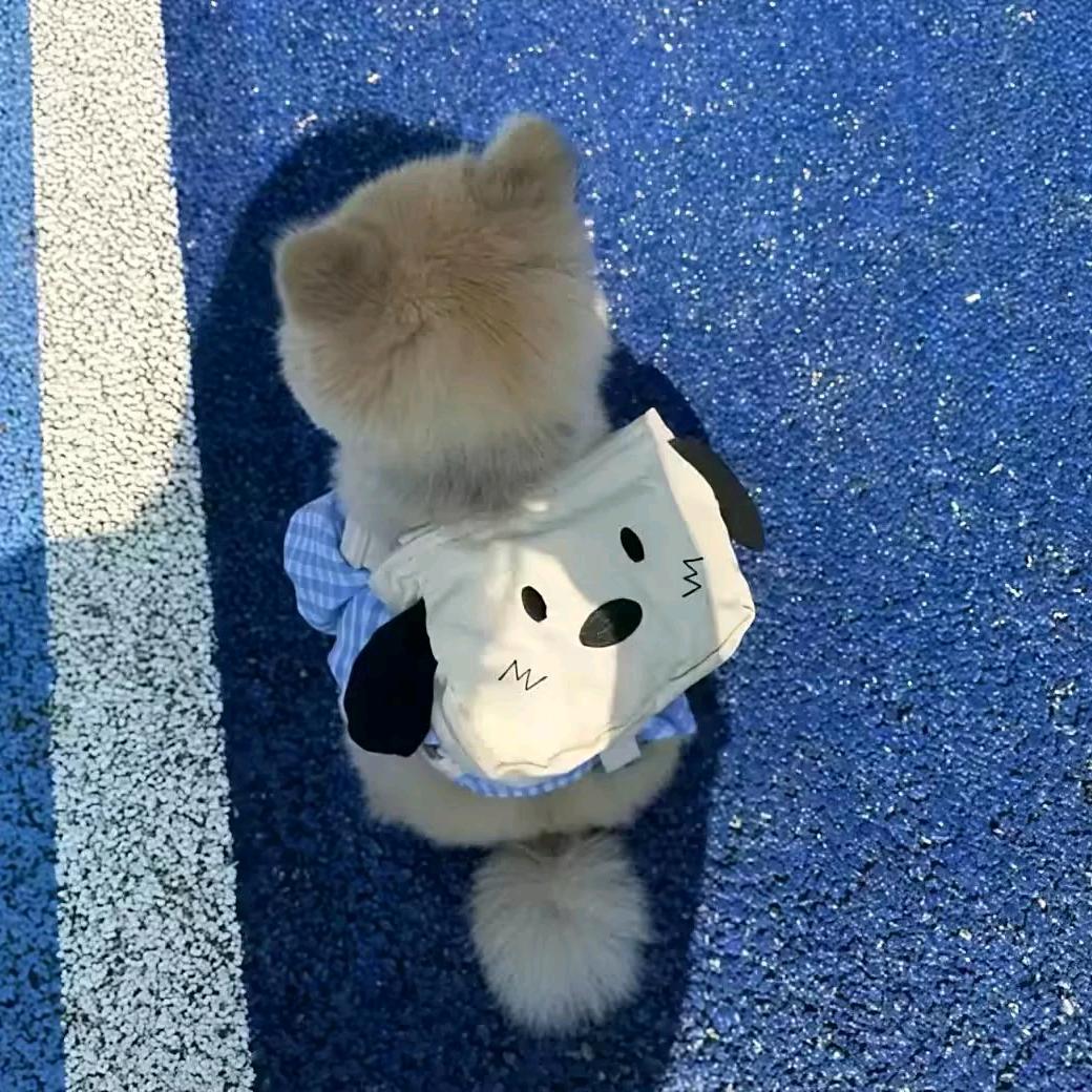 叁七