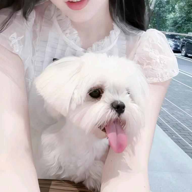清醒oo