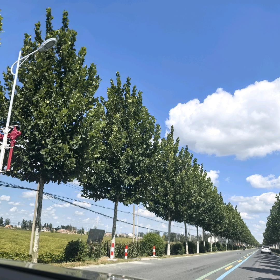 溧水区宁溢隆食品经营部