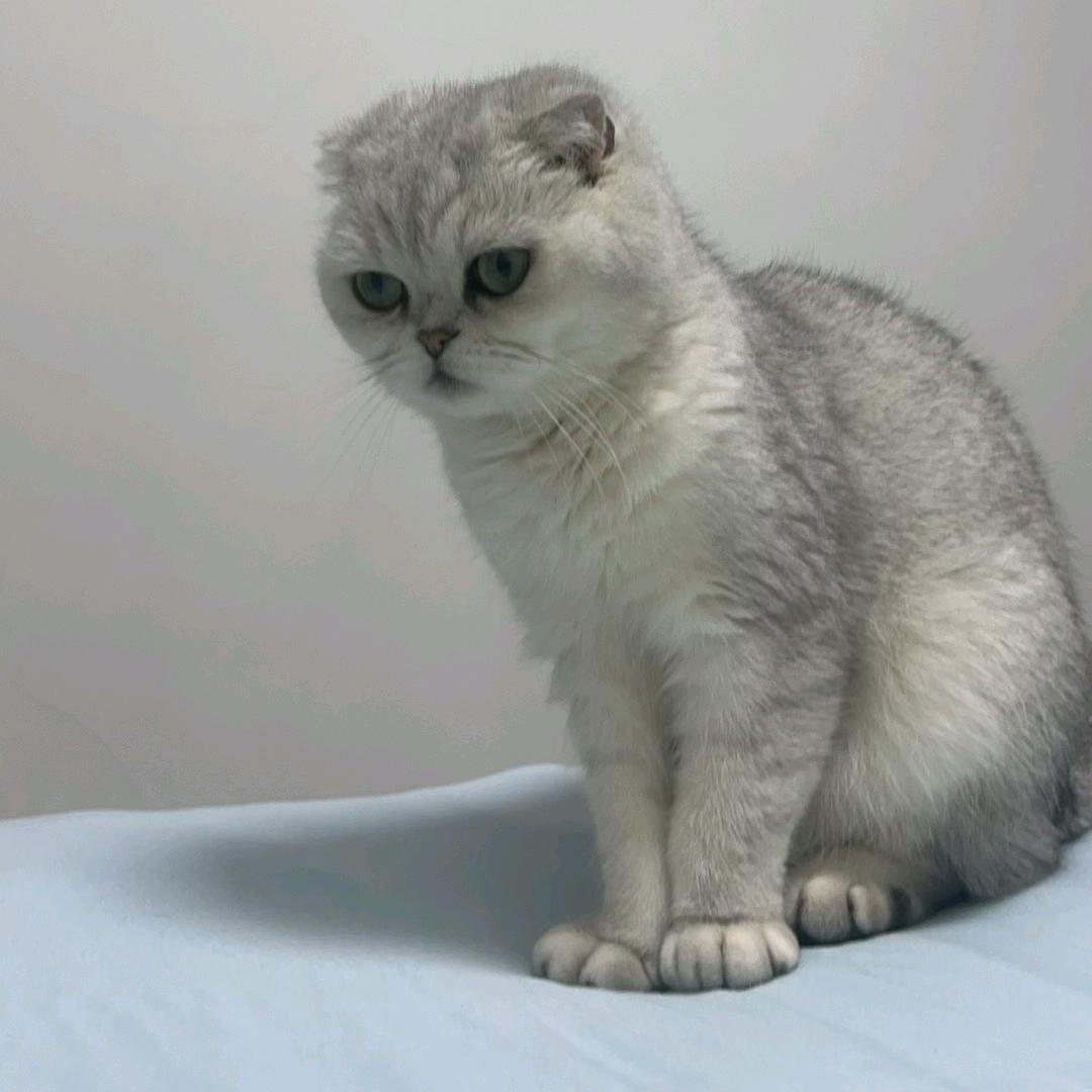 端木蕊❛‿˂̵✧