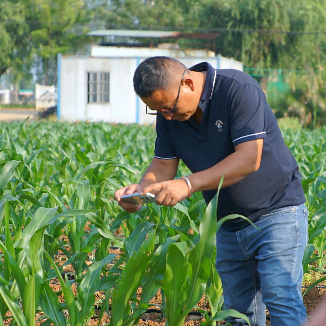 四夕唯羅  (景谷维民农资玉米帅哥）