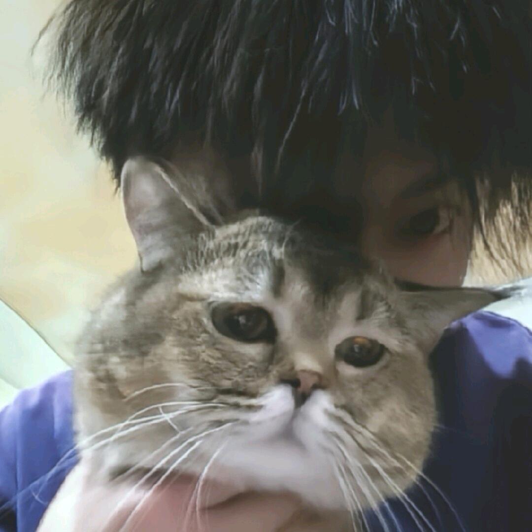 拾起拾月的月亮