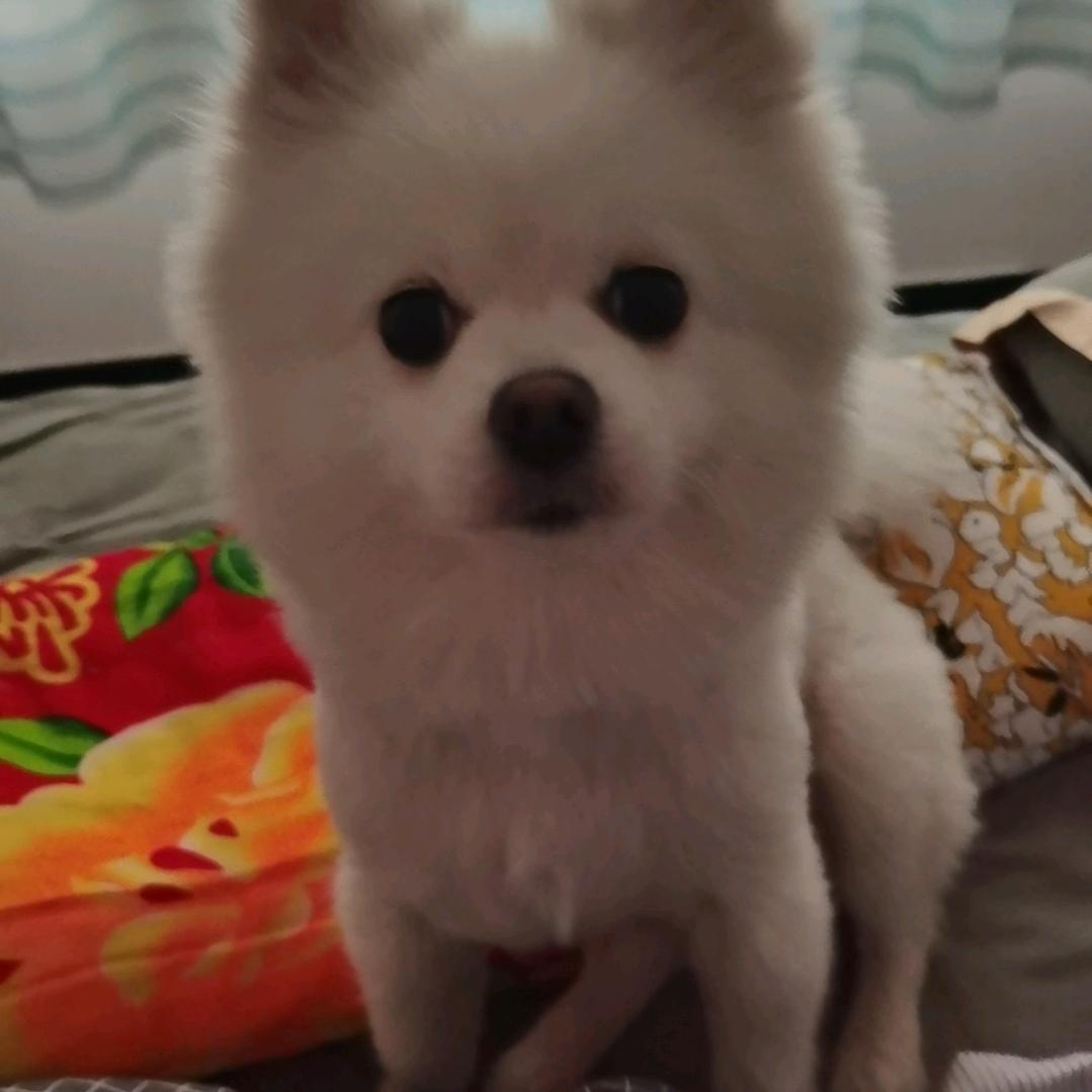 幸福一生
