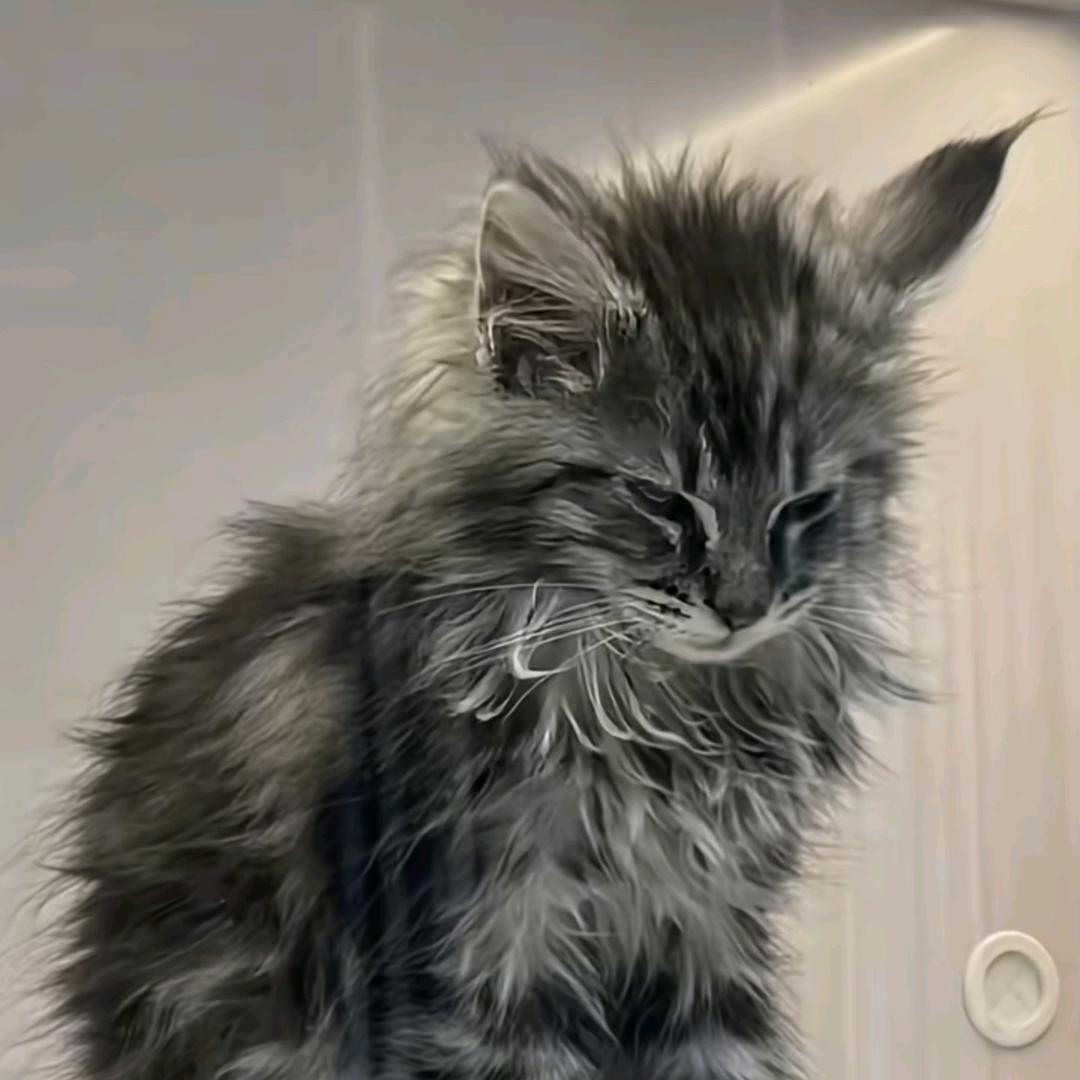 城南花开（六年之约）