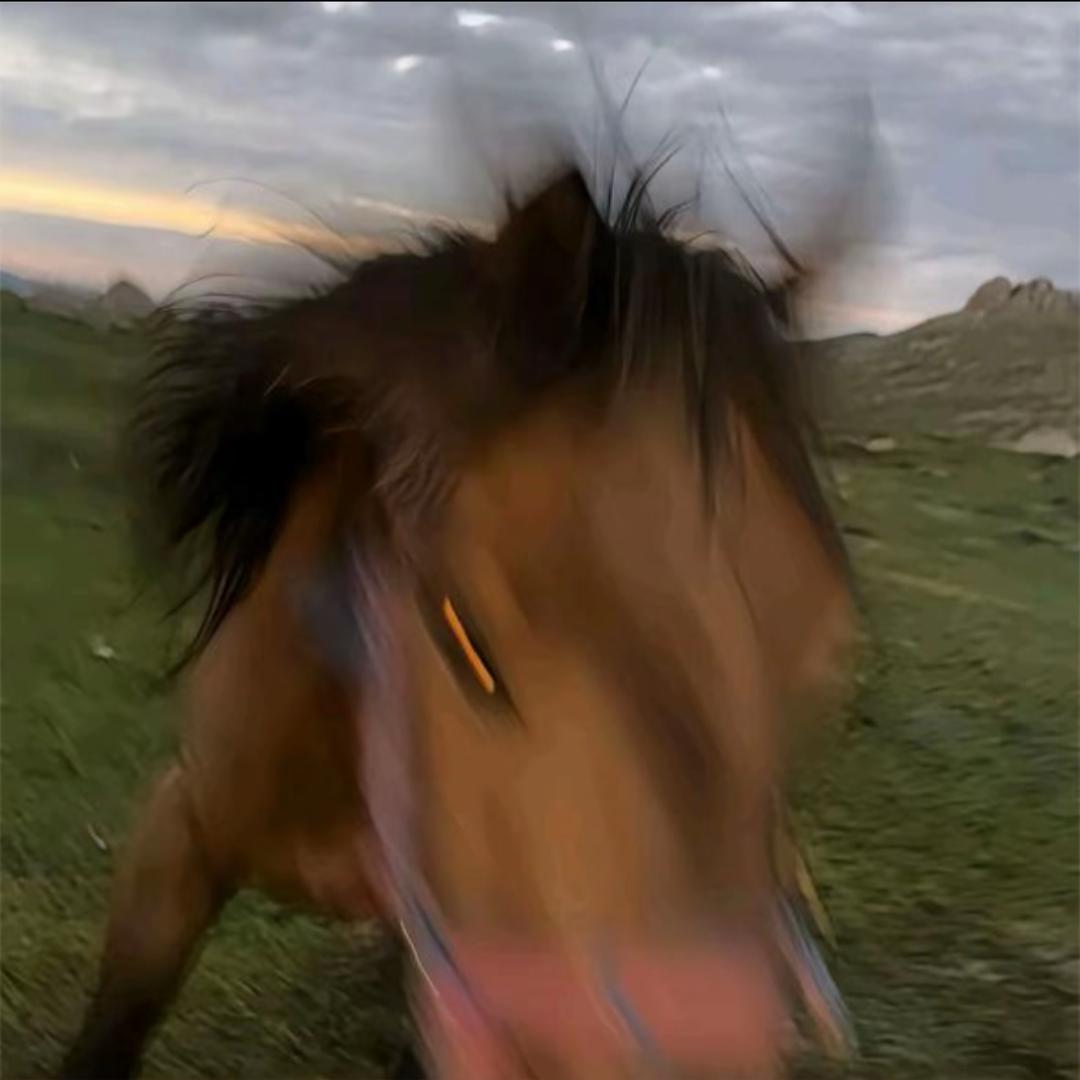 发疯文学