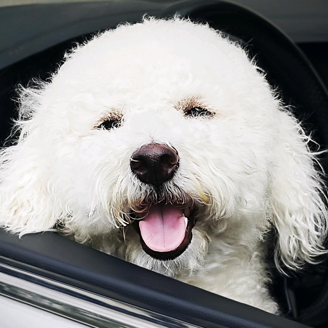 贩卖美好的Money（悔过）