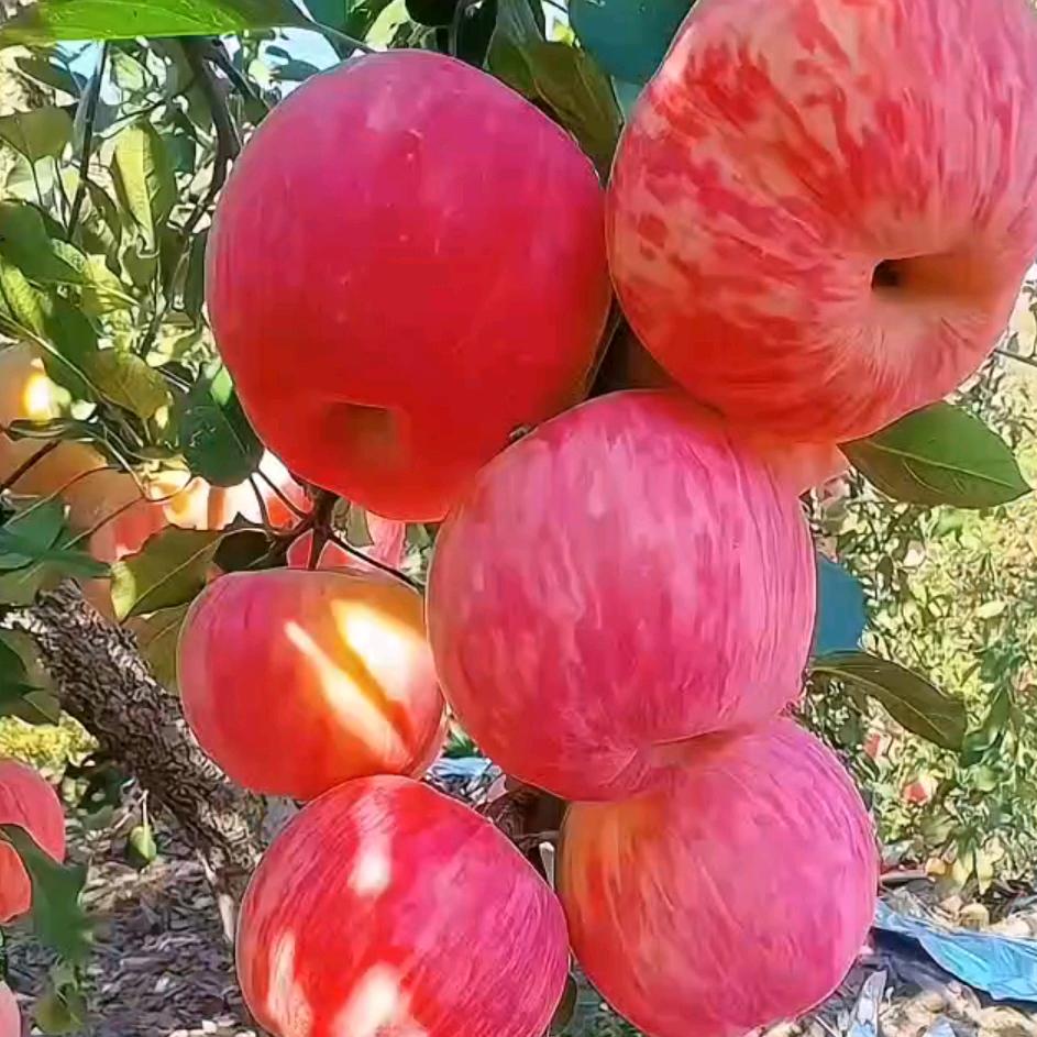 小翠？！