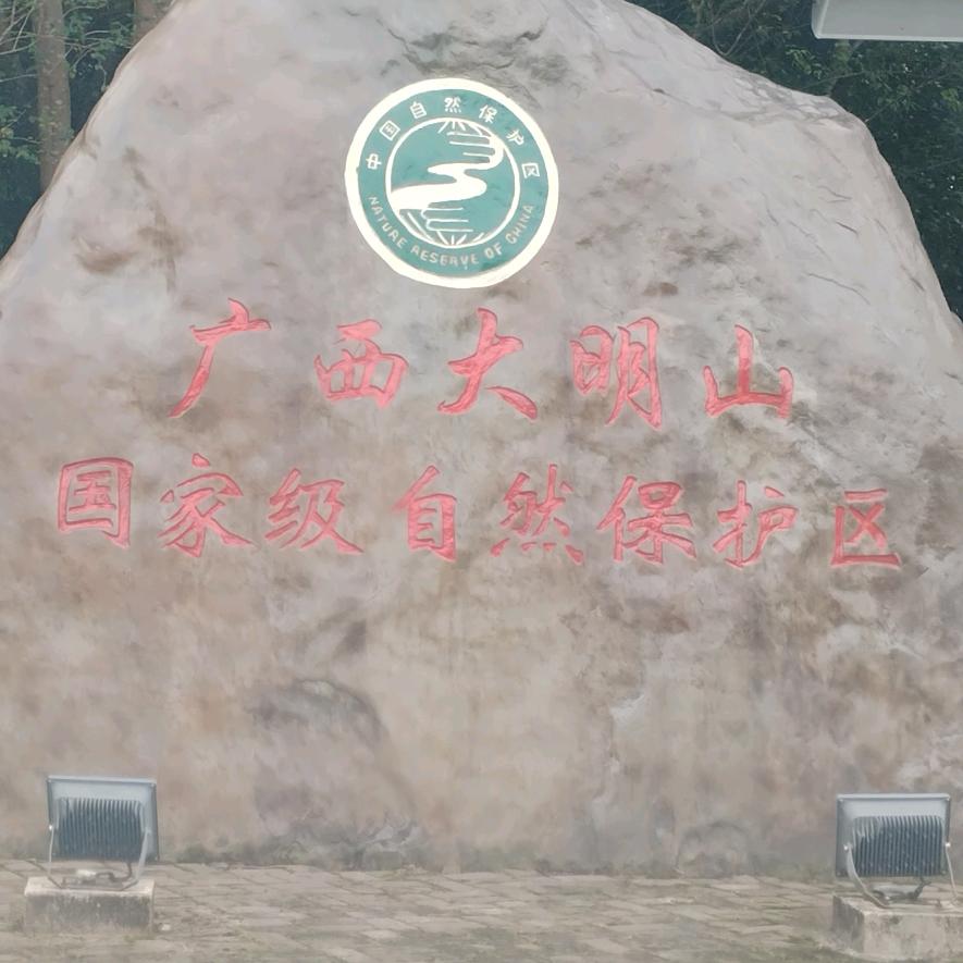 (*时来^ω^运转*)