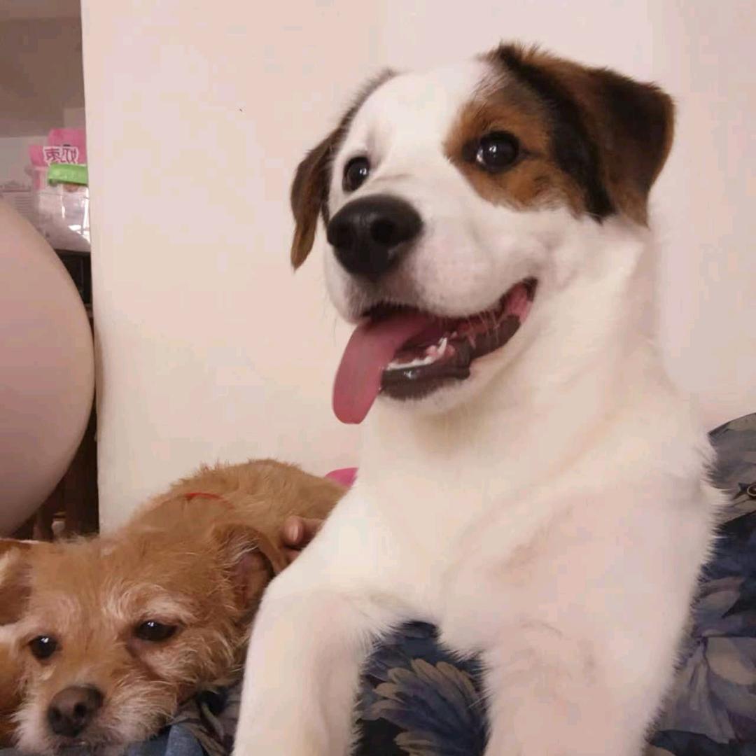 我乐窝在🌈悠然