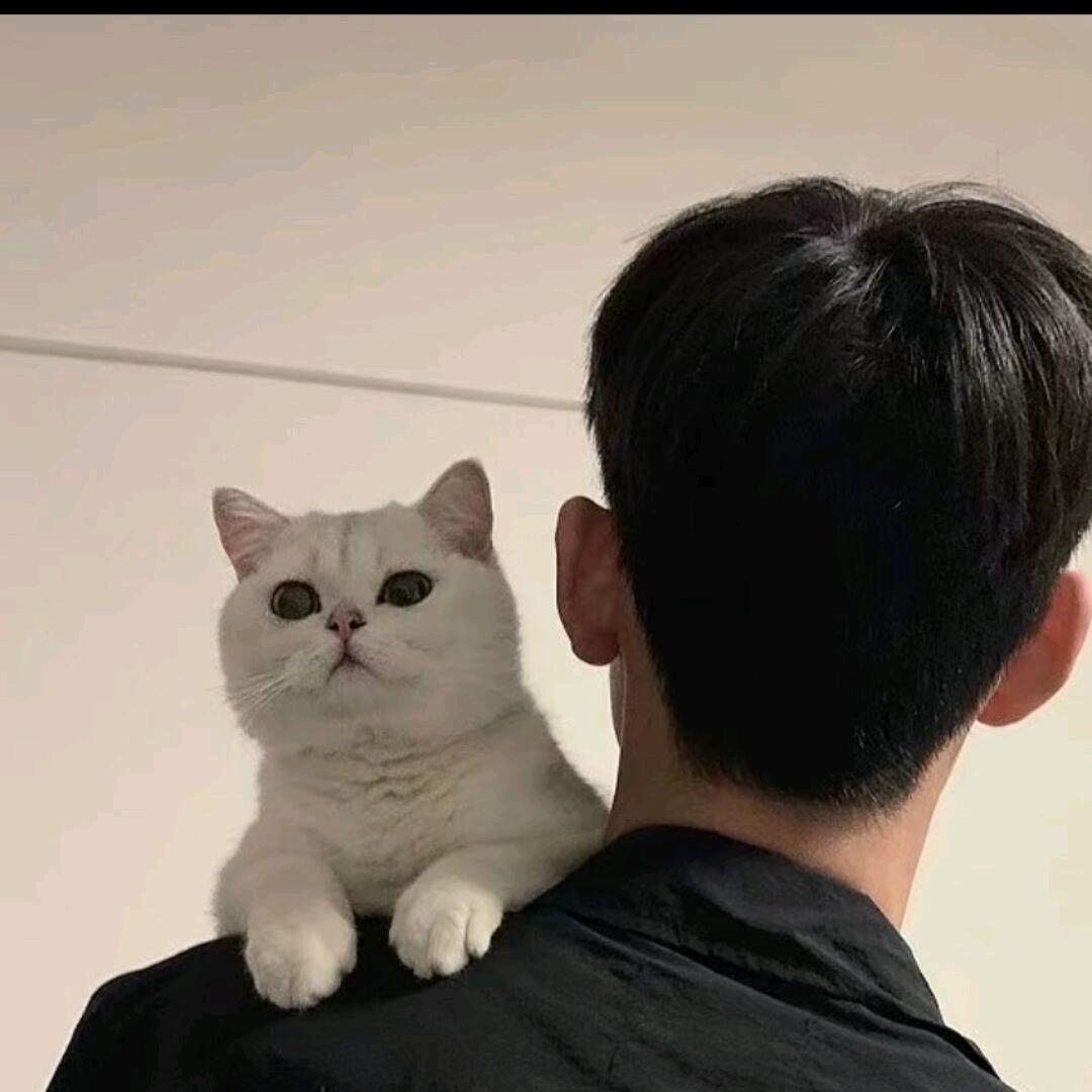 小玖