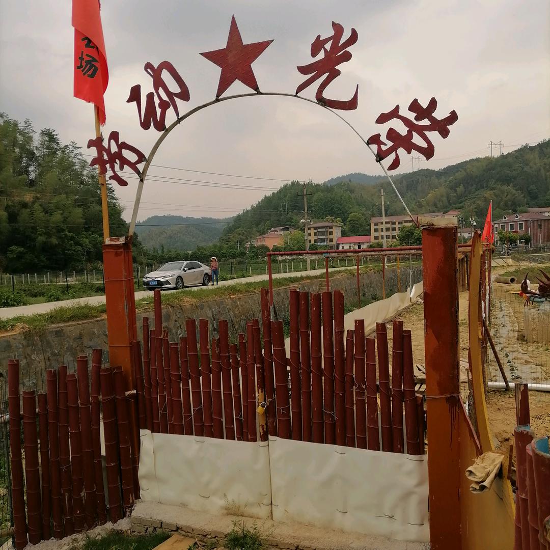 向着大海