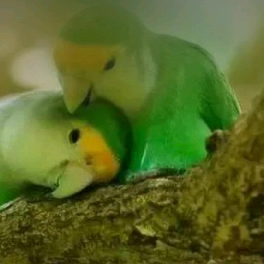 ꩵ、习<惯࿌ོ࿆:余💖生ོ有🦋你