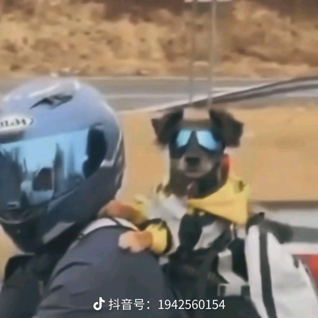 巴啦啦小魔仙！全身变（｡ò ∀ ó｡）