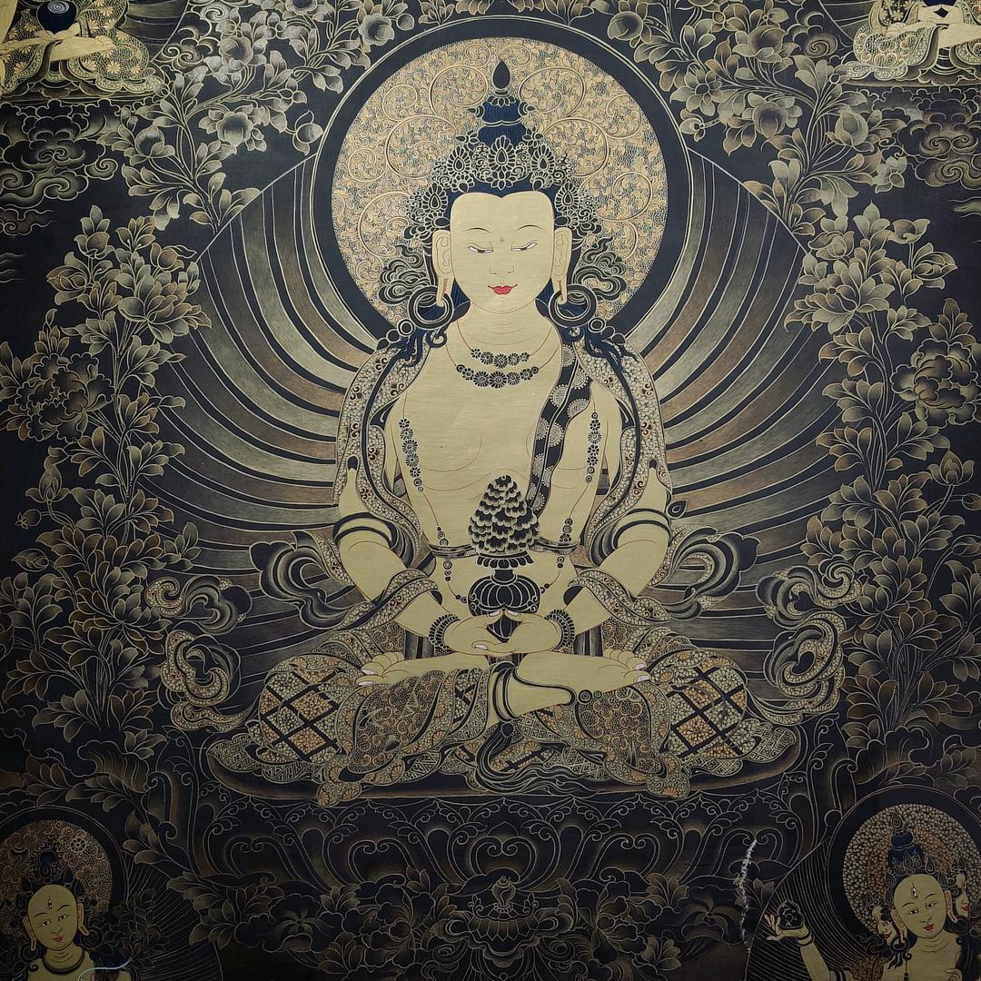 敖游带你玩环球