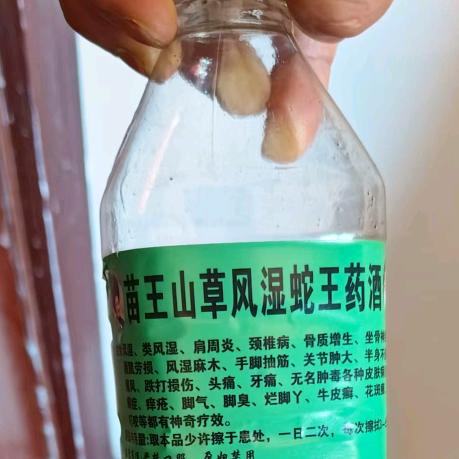 龙龙好物推荐