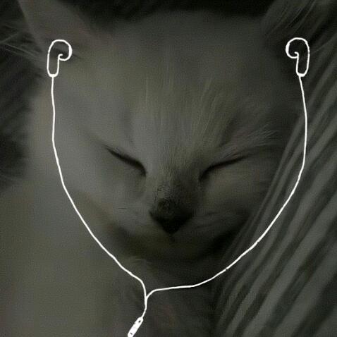 l y t