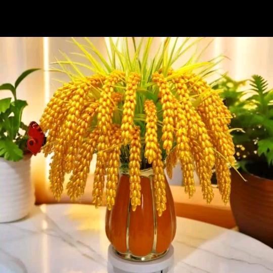 懂得珍惜，才配拥有