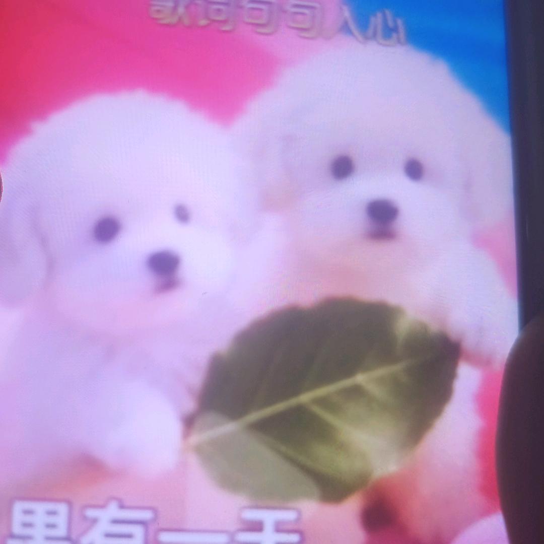 幸福快乐一家人