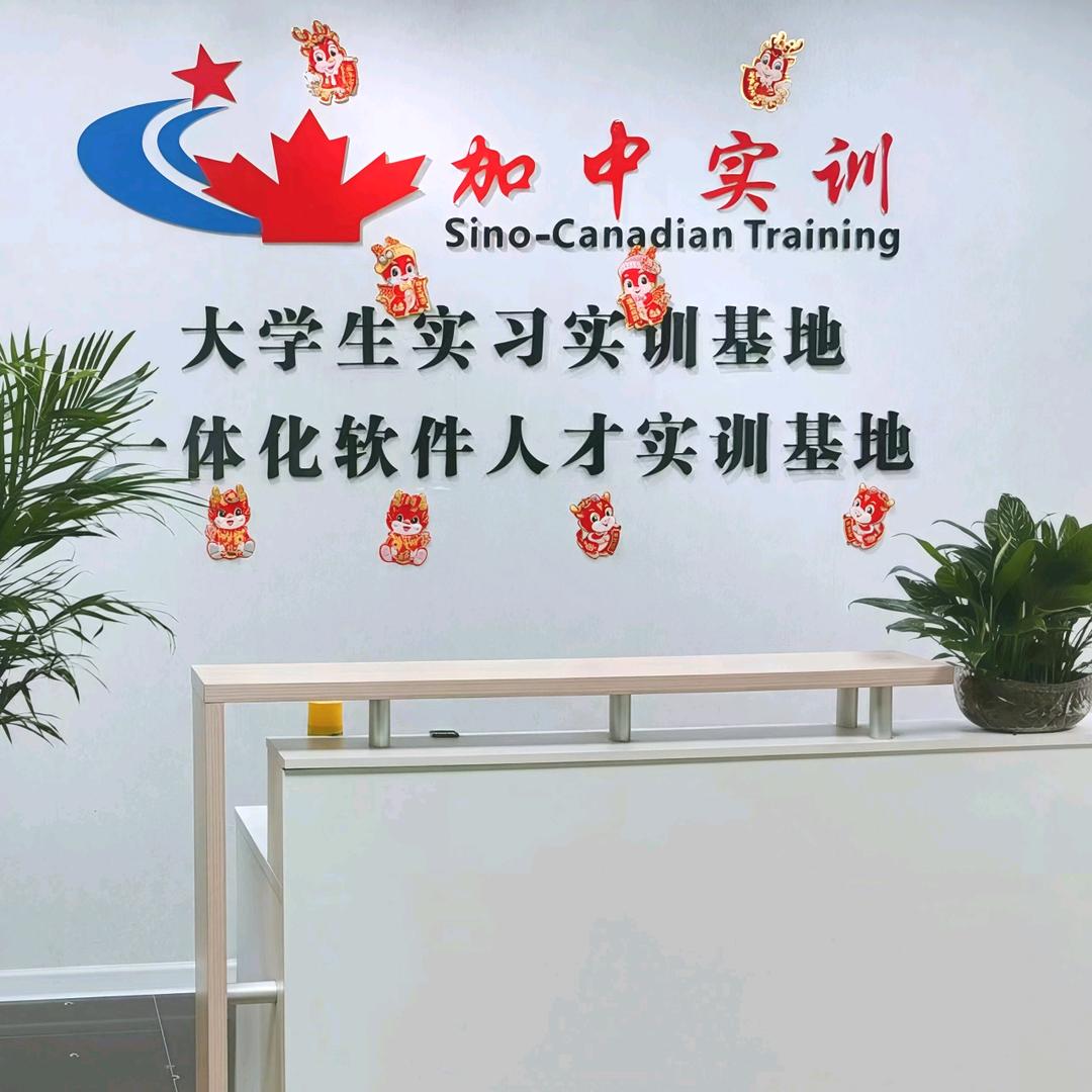 加中实训
