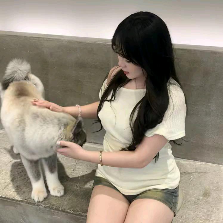 蛋蛋