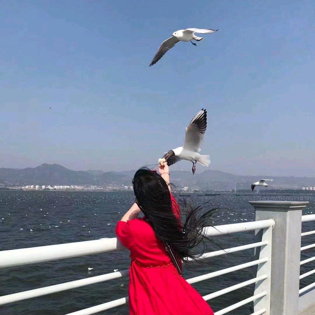 李小二