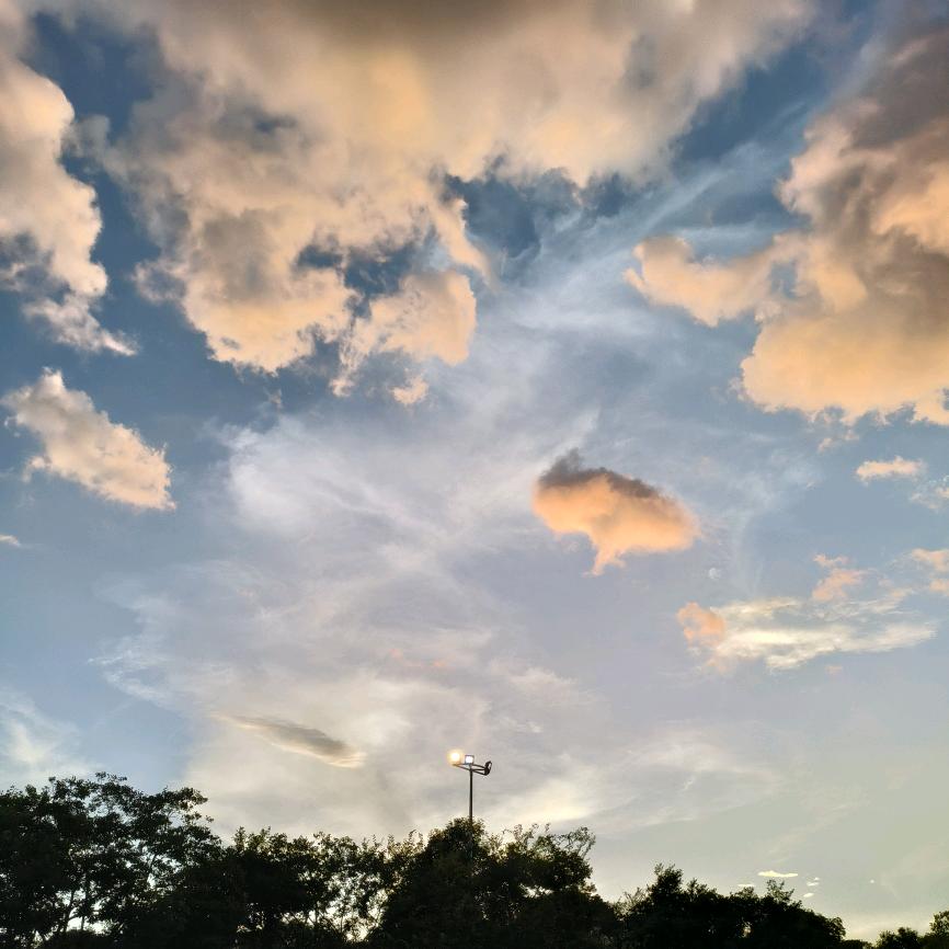 我就是我，不一样的烟火