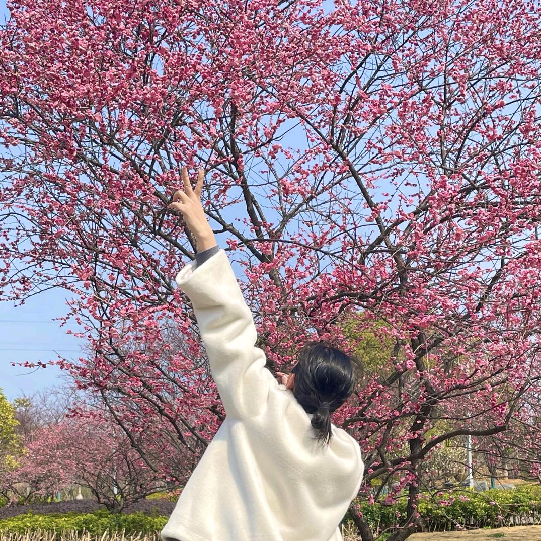 夢鈴