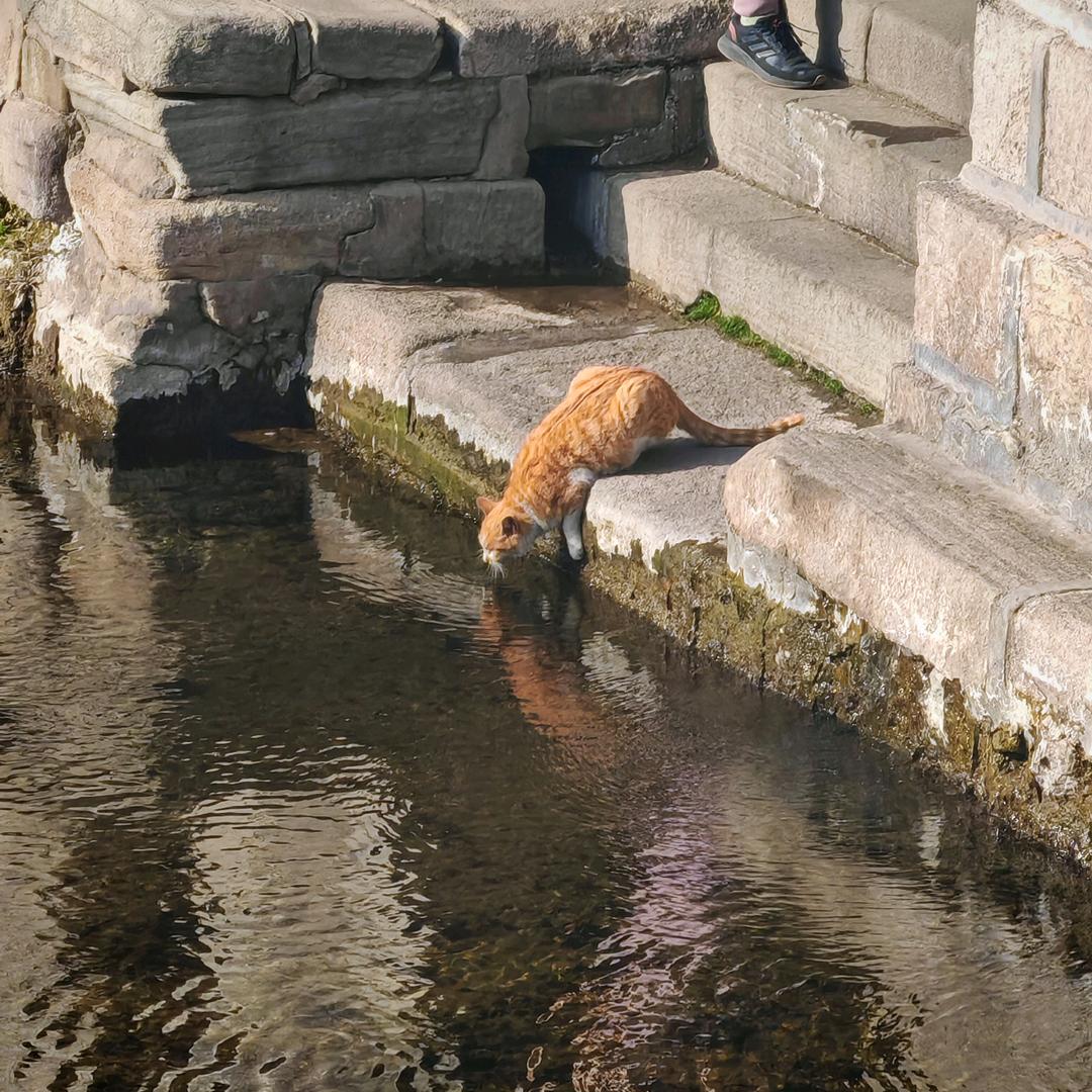 user1546649979495154