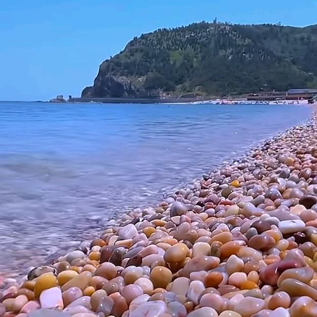 红颜知己如茶似水