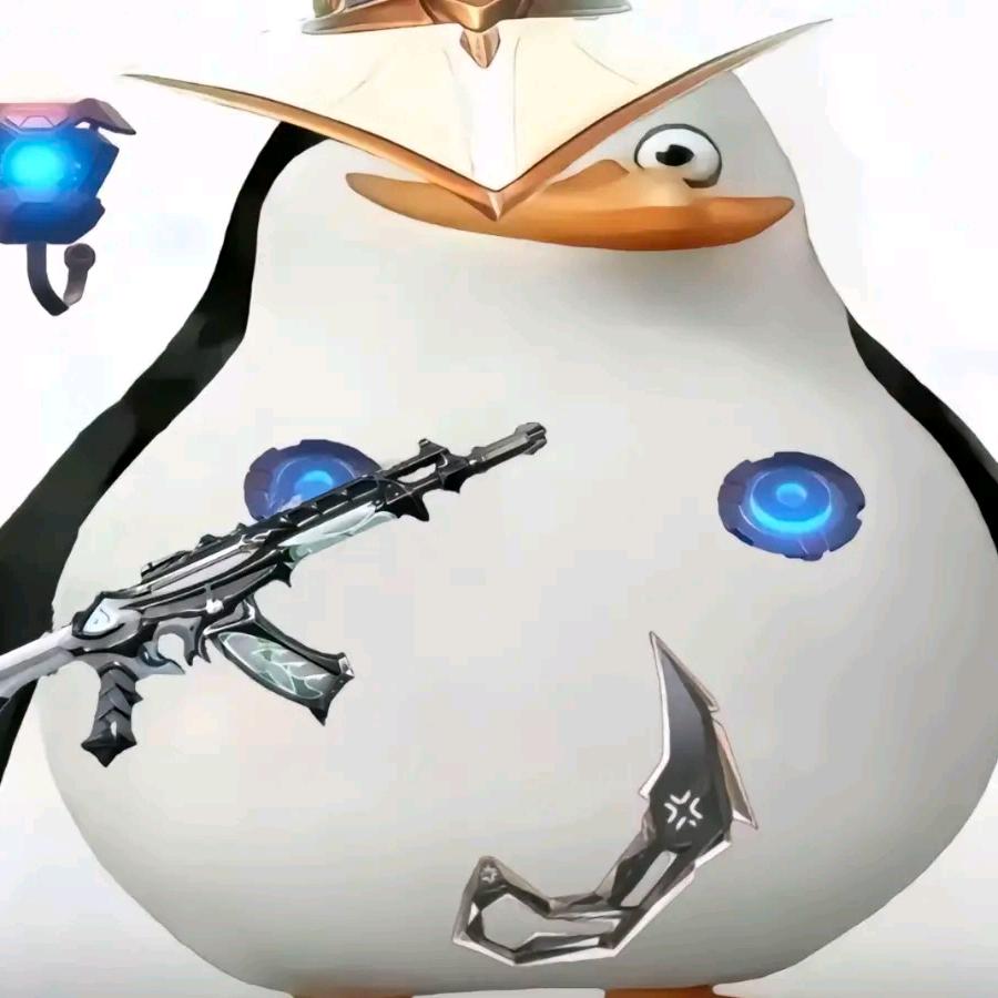 保安大人