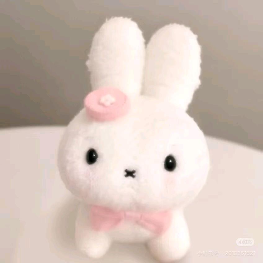 绒毛兔兔