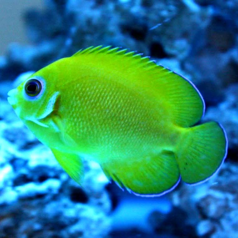 這個,那個,怎麼了🥹