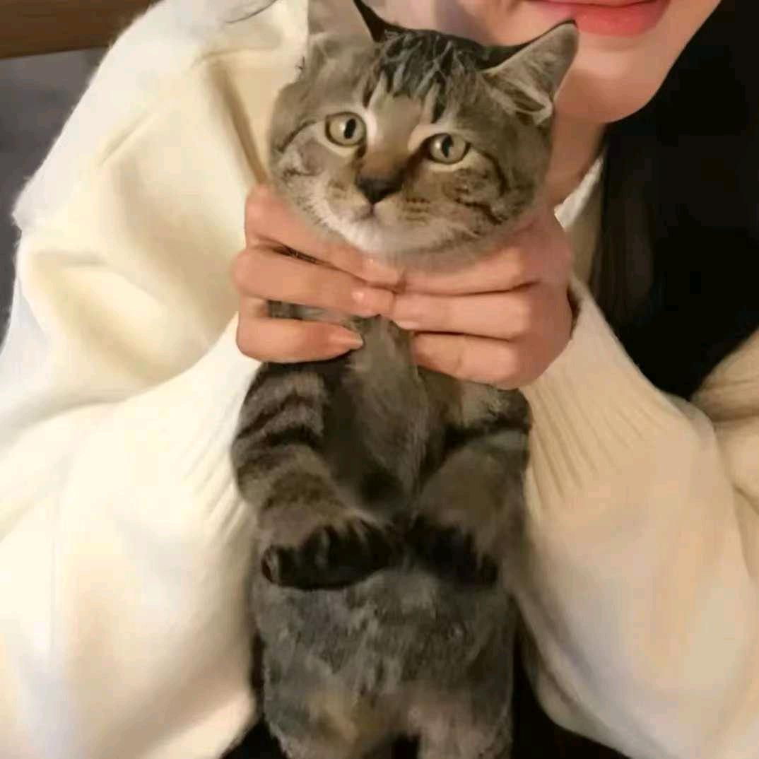 与影子说委屈yu