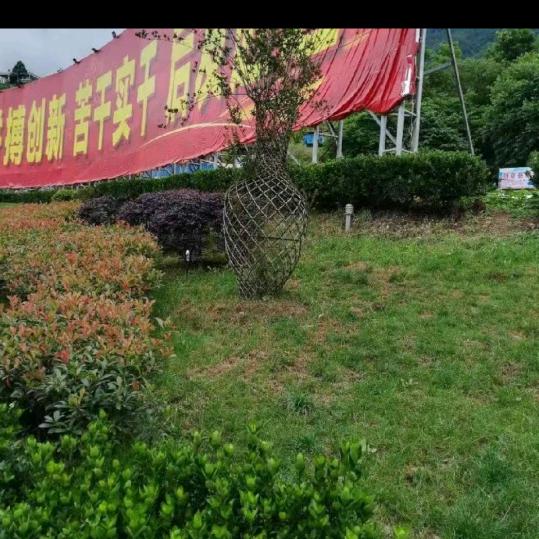 顺其自然~