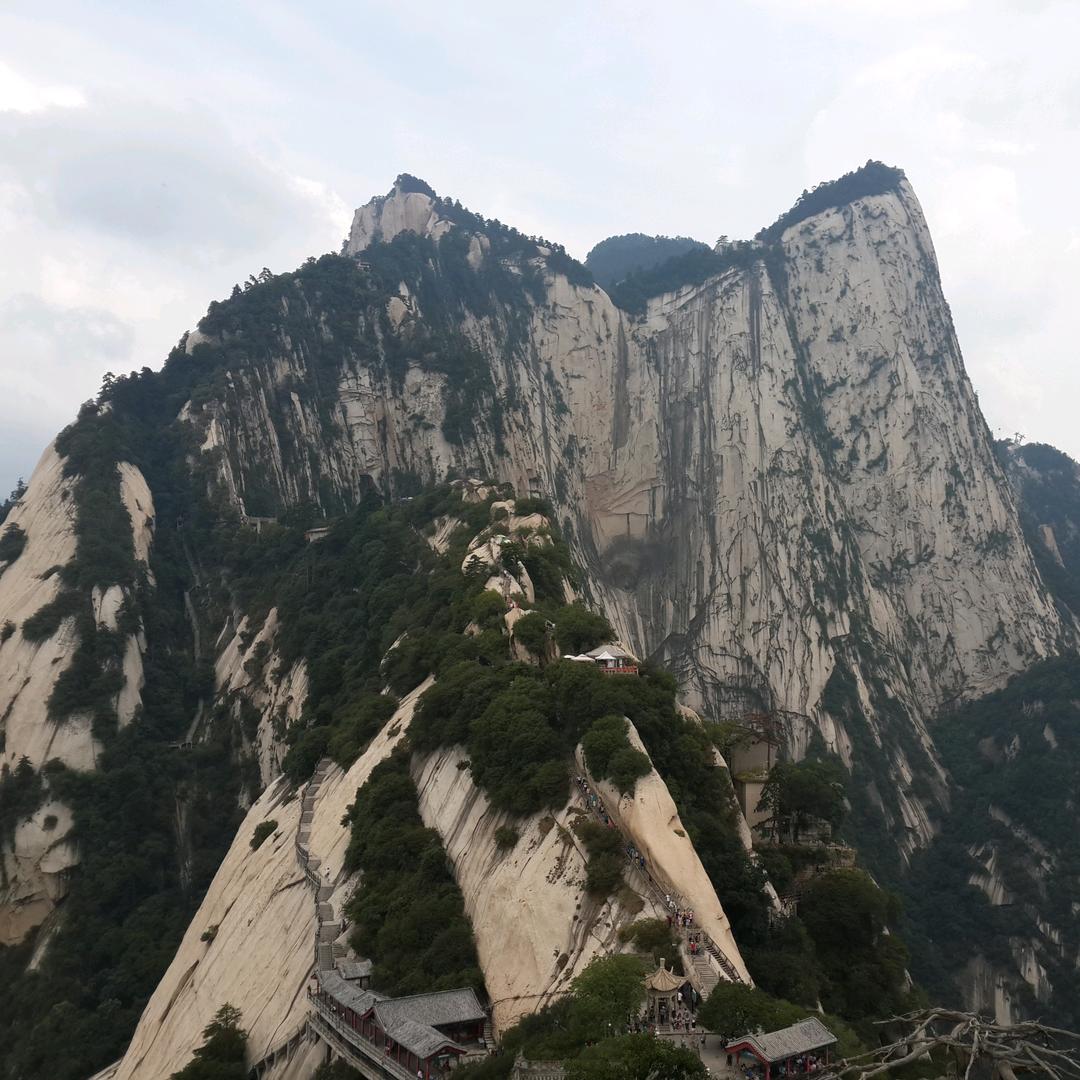 快马加鞭未下鞍