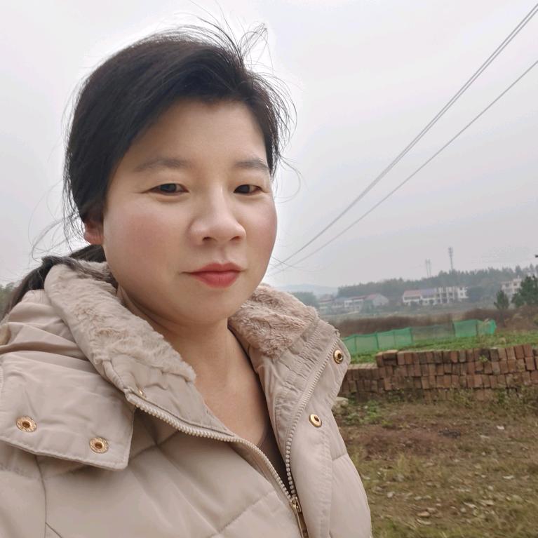 凤姐