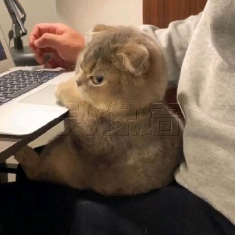 聽風說起妳