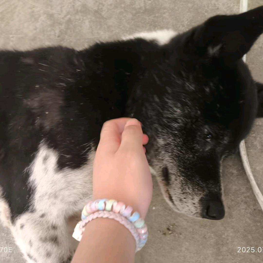 希望未来的日子更好