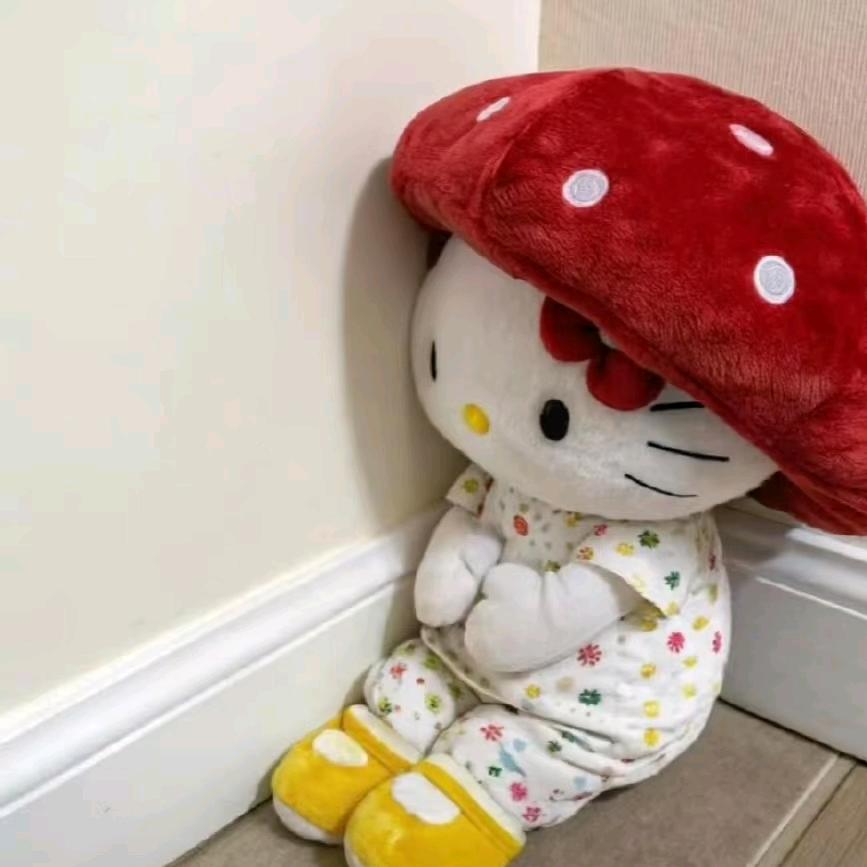 小猫圆满满（招代理）