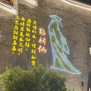 花开很富贵